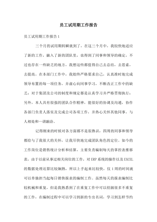 员工试用期工作报告