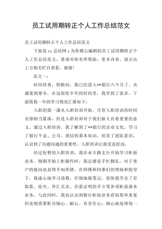 员工试用期转正个人工作总结范文