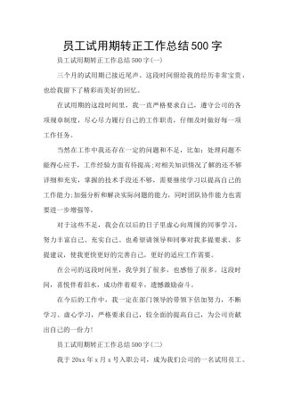 员工试用期转正工作总结500字