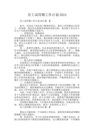 员工试用期工作计划2024