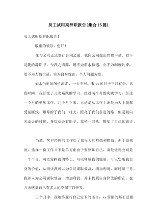员工试用期辞职报告