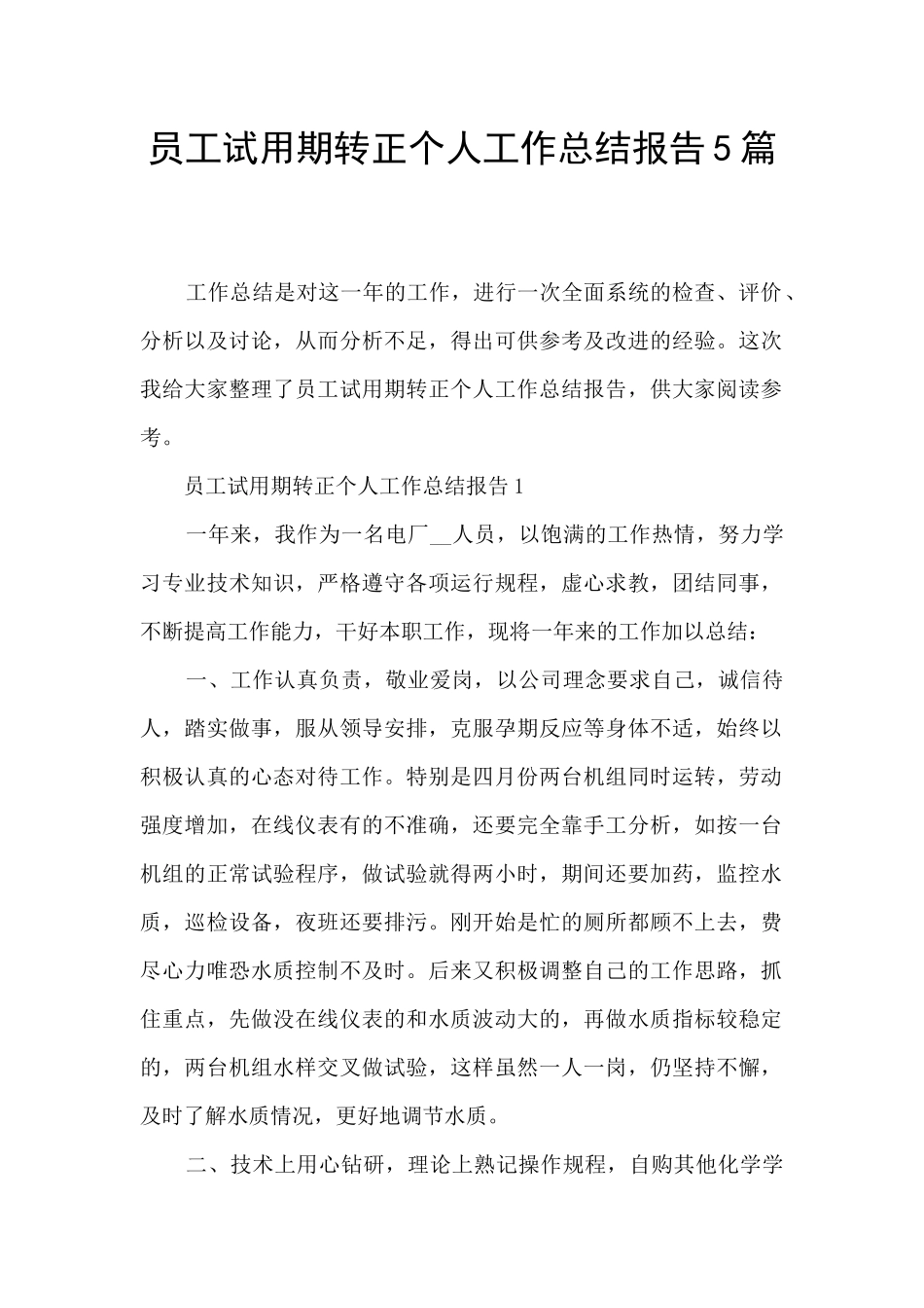 员工试用期转正个人工作总结报告5篇_第1页