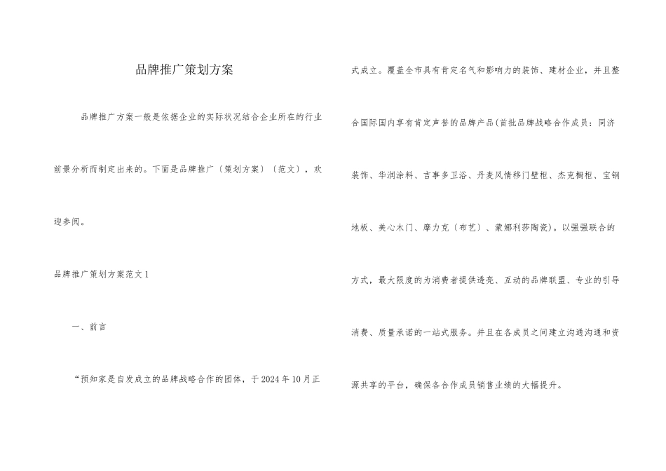 品牌推广策划方案_第1页