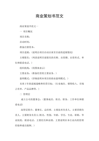 商业策划书范文