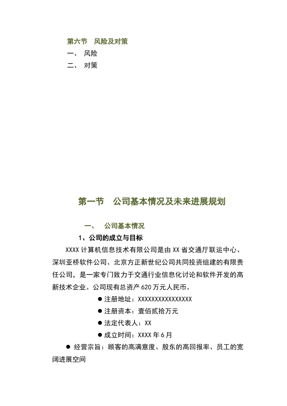 商业融资计划书_第3页