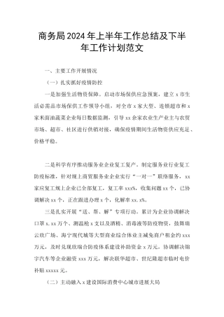 商务局2024年上半年工作总结及下半年工作计划范文