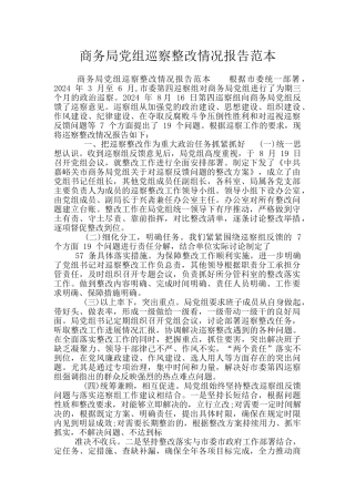 商务局党组巡察整改情况报告范本