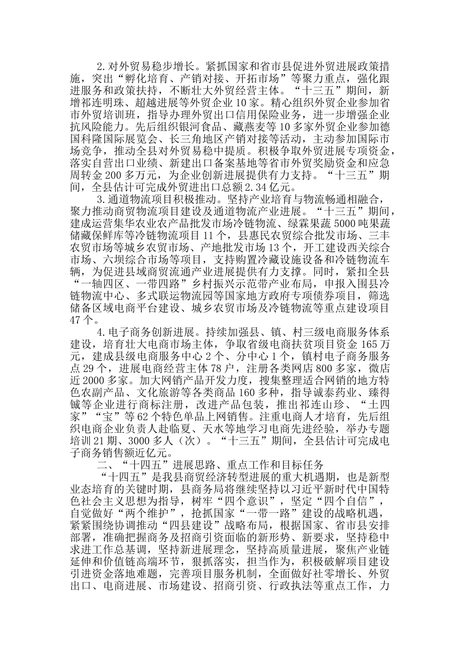 商务局十三五工作总结暨十四五发展思路_第3页