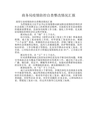 商务局疫情防控自查整改情况汇报