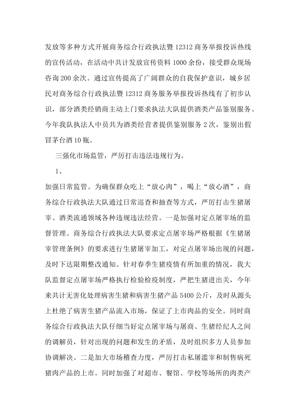 商务执法个人工作总结范文_第2页