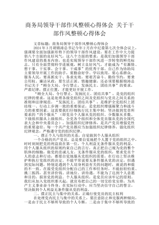 商务局领导干部作风整顿心得体会