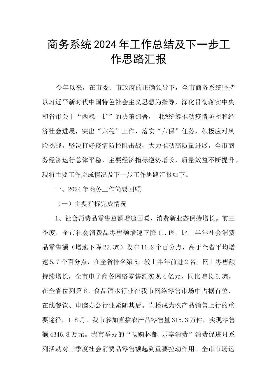 商务系统2024年工作总结及下一步工作思路汇报_第1页