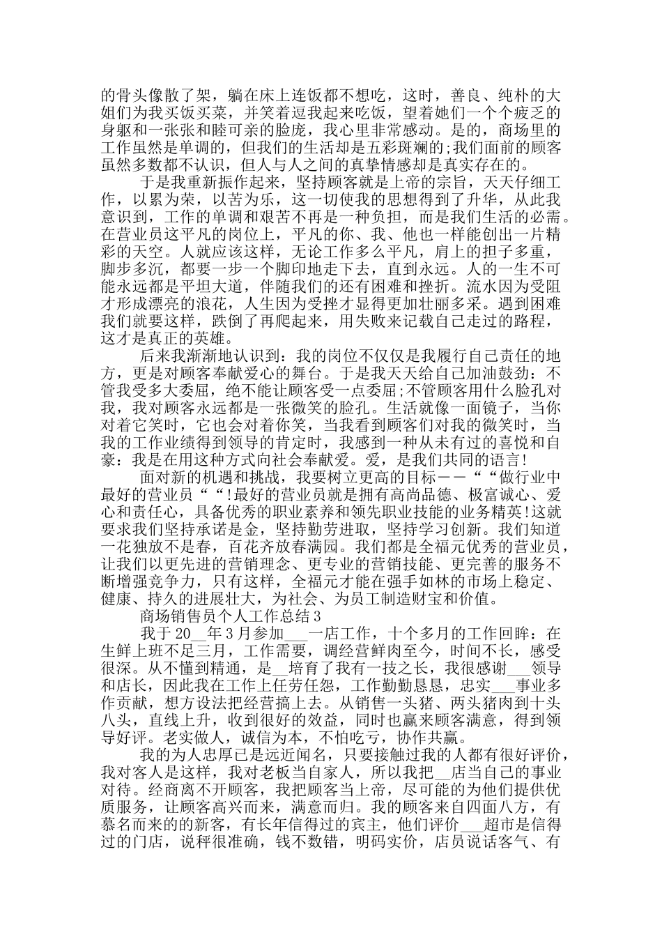 商场销售员个人工作总结_第2页