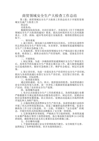商贸领域安全生产大检查工作总结