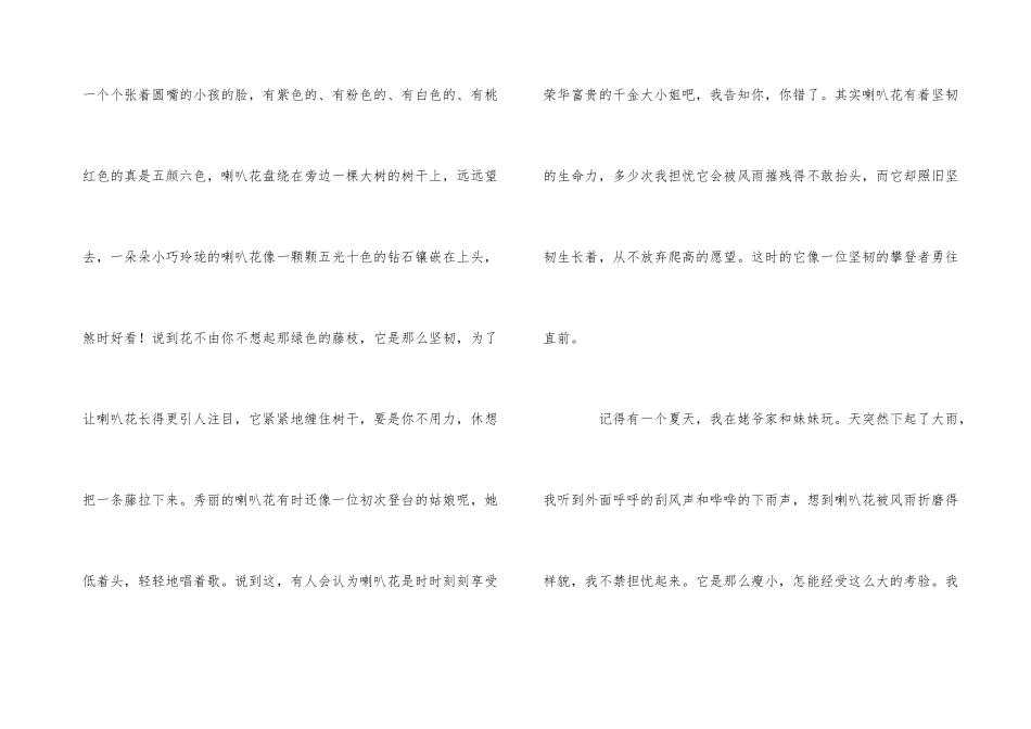 喇叭花的作想_第3页