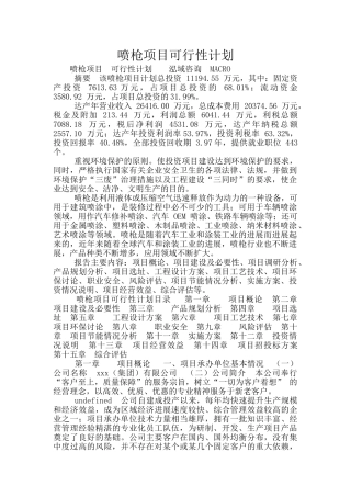 喷枪项目可行性计划