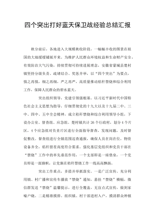 四个突出打好蓝天保卫战经验总结汇报