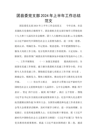 团县委党支部2024年上半年工作总结范文