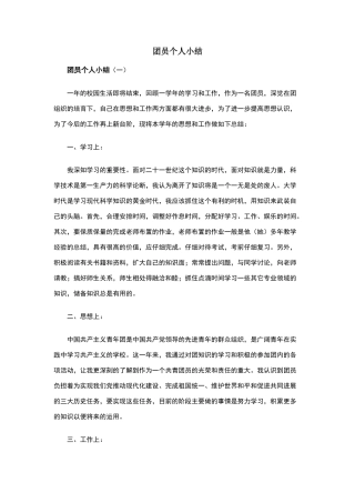 团员个人小结