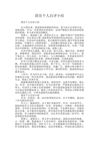 团员个人自评小结
