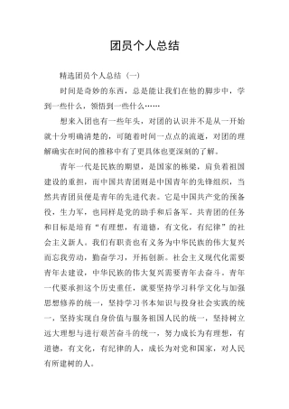 团员个人总结