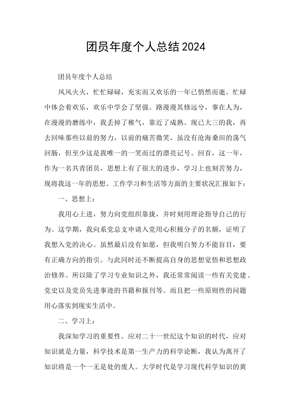 团员年度个人总结2024_第1页