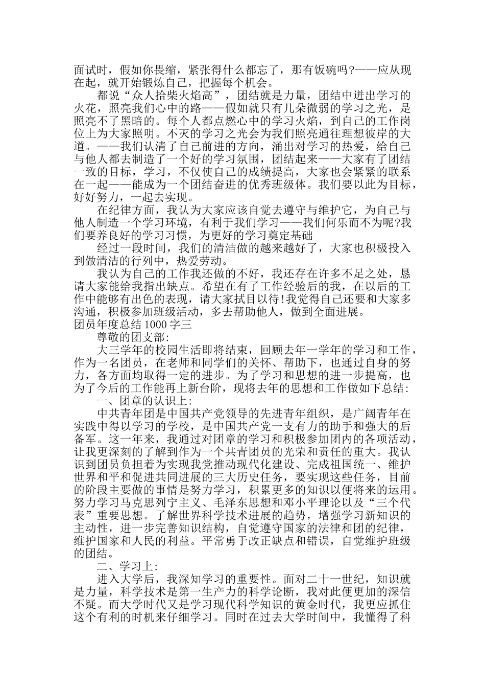 团员年度总结1000字_第3页