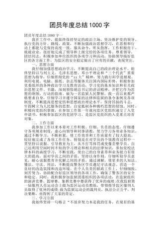 团员年度总结1000字