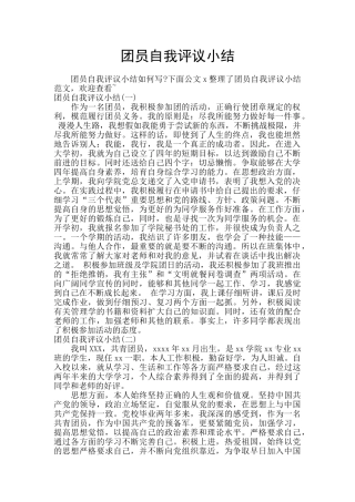 团员自我评议小结