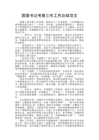 团委书记考察三年工作总结范文