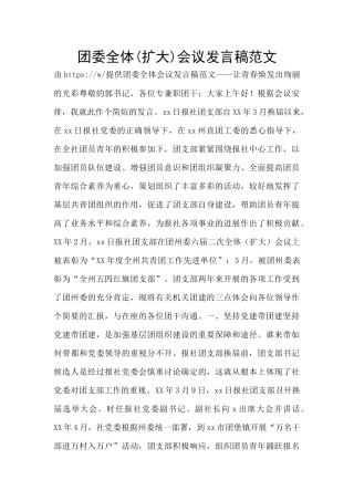 团委全体会议发言稿范文
