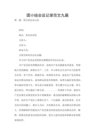 团小组会议记录范文九篇