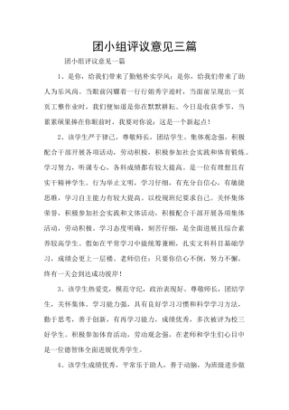 团小组评议意见三篇