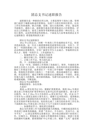 团总支书记述职报告