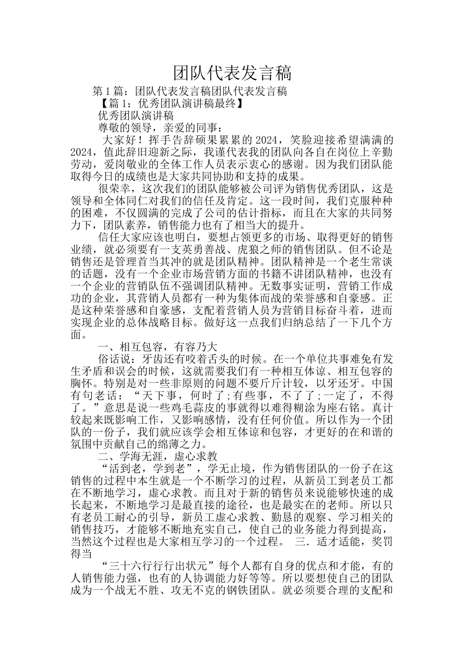 团队代表发言稿_第1页