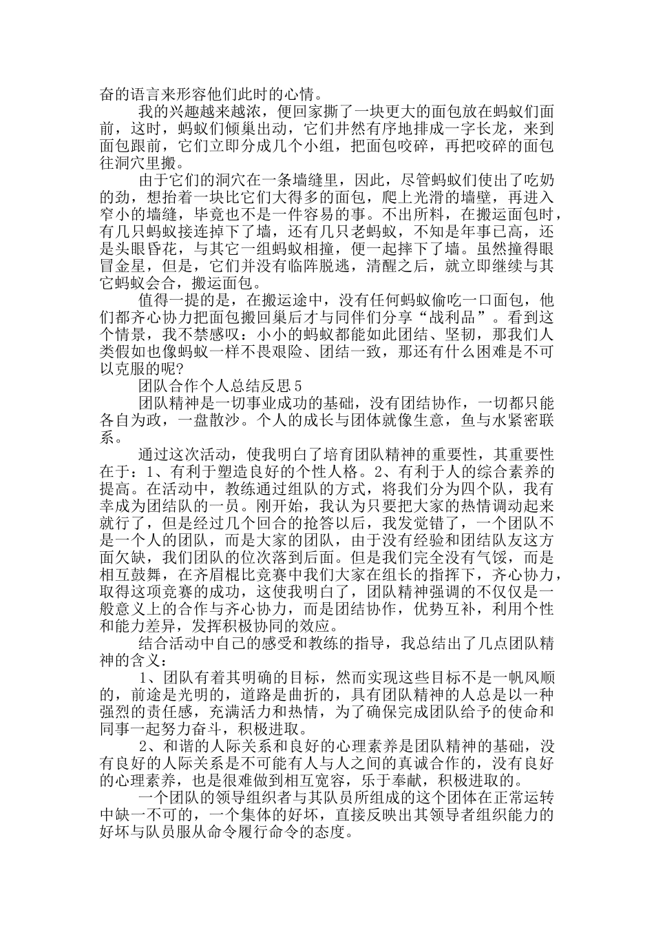 团队合作个人总结反思_第3页