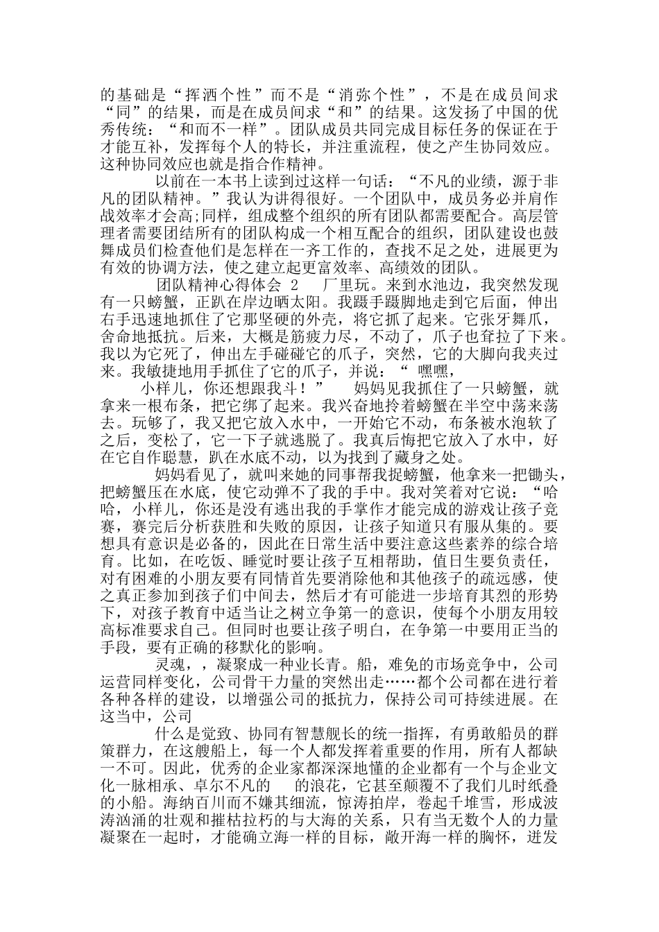 团队精神心得体会1_第2页