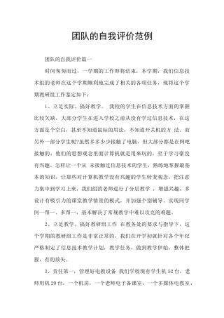 团队的自我评价范例