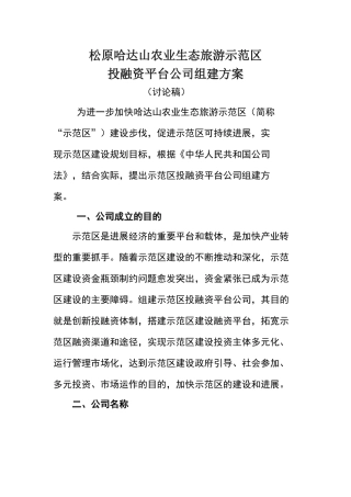 园区投融资平台公司组建方案