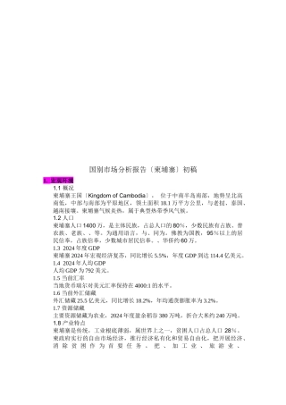 国别市场分析报告初稿