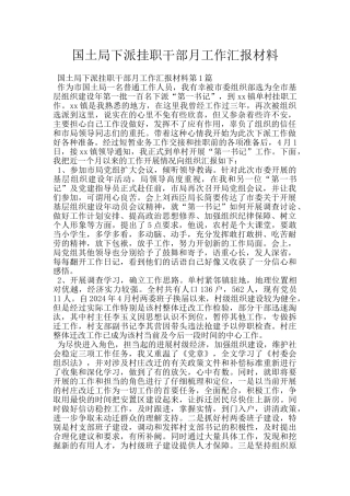 国土局下派挂职干部月工作汇报材料