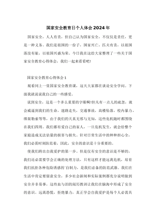 国家安全教育日个人体会2024年