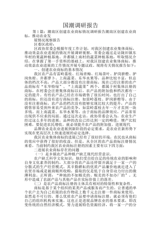 国潮调研报告