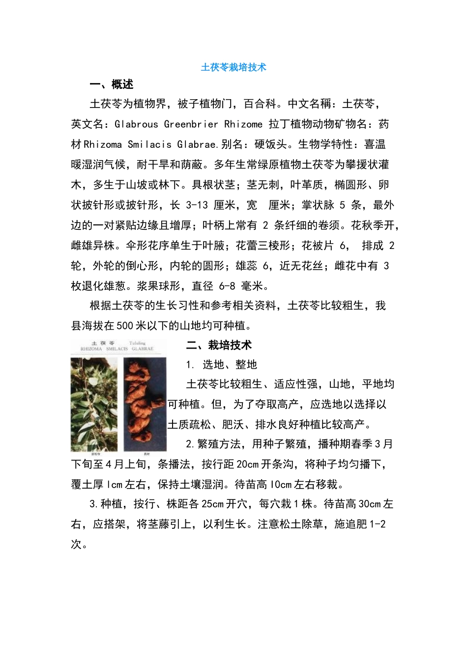 土茯苓栽培技术_第1页