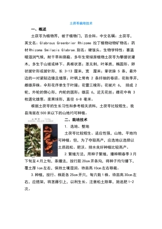 土茯苓栽培技术