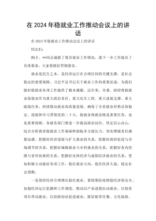 在2024年稳就业工作推进会议上的讲话