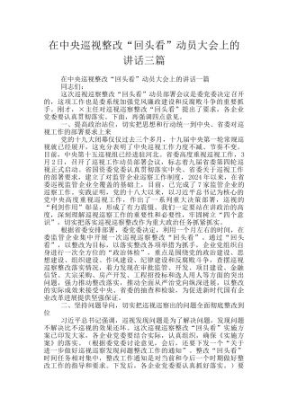 在中央巡视整改“回头看”动员大会上的讲话三篇