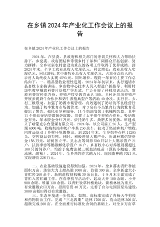 在乡镇2024年产业化工作会议上的报告