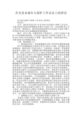 在全县未成年人保护工作会议上的讲话