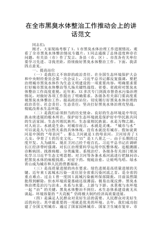 在全市黑臭水体整治工作推进会上的讲话范文